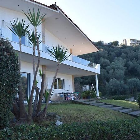 Appartamento Ολόκληρος Όροφος Αγροτική Οικία Néos Pírgos Esterno foto