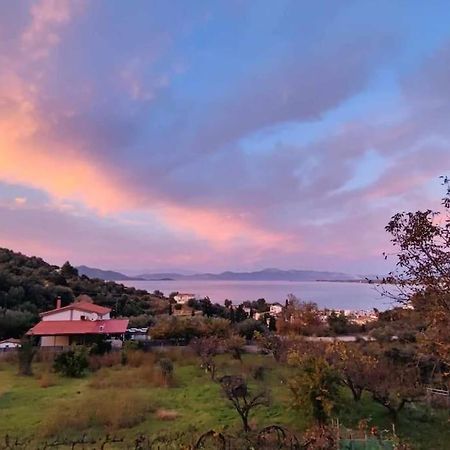 Appartamento Ολόκληρος Όροφος Αγροτική Οικία Néos Pírgos Esterno foto