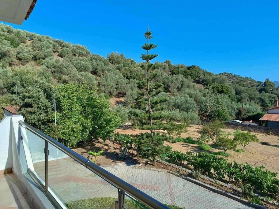 Appartamento Ολόκληρος Όροφος Αγροτική Οικία Néos Pírgos Esterno foto