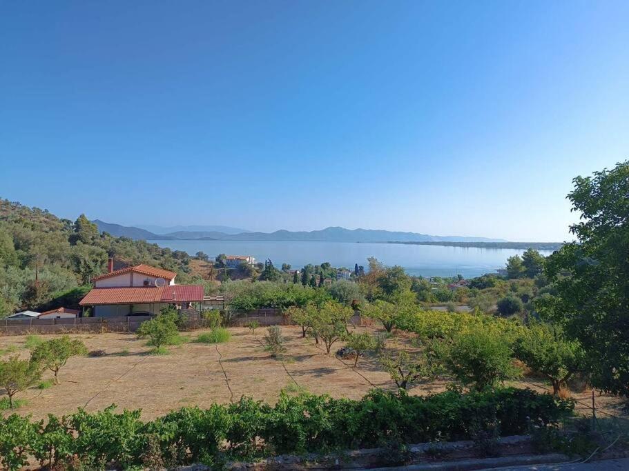 Appartamento Ολόκληρος Όροφος Αγροτική Οικία Néos Pírgos Esterno foto