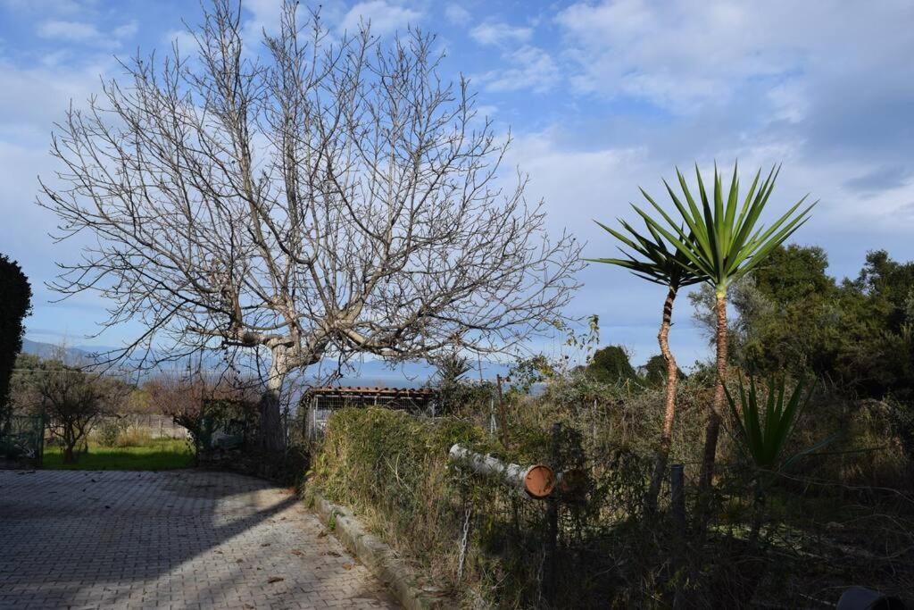 Appartamento Ολόκληρος Όροφος Αγροτική Οικία Néos Pírgos Esterno foto
