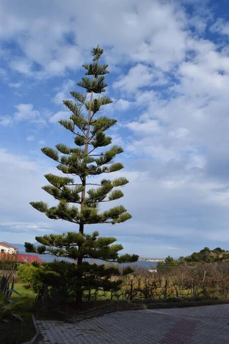 Appartamento Ολόκληρος Όροφος Αγροτική Οικία Néos Pírgos Esterno foto