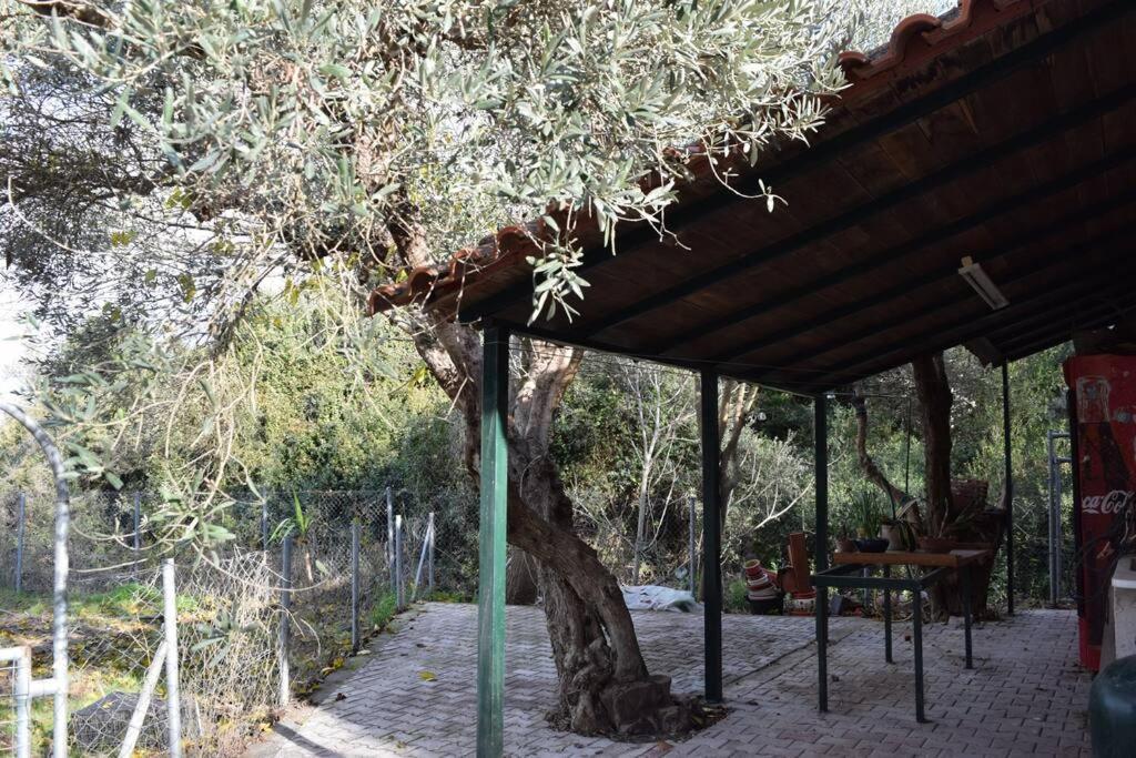 Appartamento Ολόκληρος Όροφος Αγροτική Οικία Néos Pírgos Esterno foto