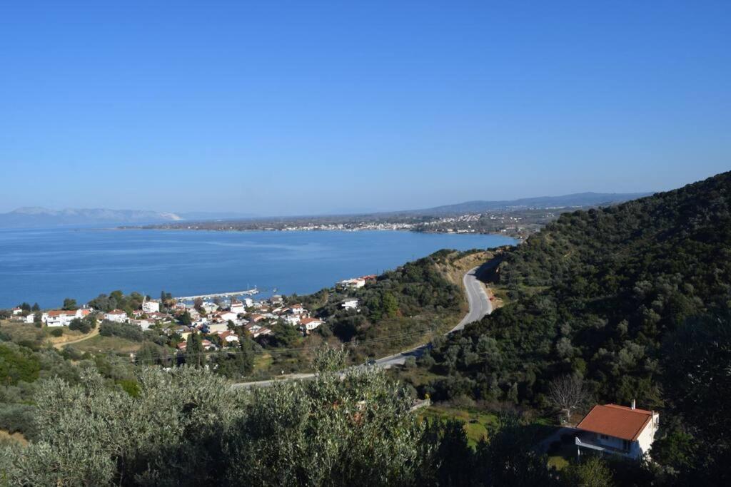 Appartamento Ολόκληρος Όροφος Αγροτική Οικία Néos Pírgos Esterno foto