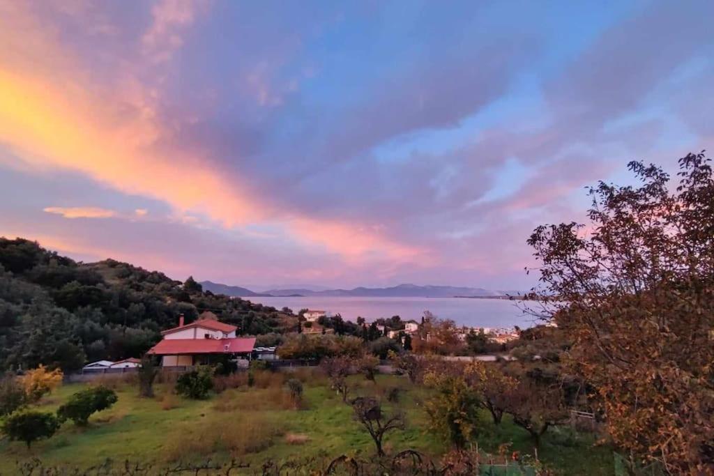 Appartamento Ολόκληρος Όροφος Αγροτική Οικία Néos Pírgos Esterno foto